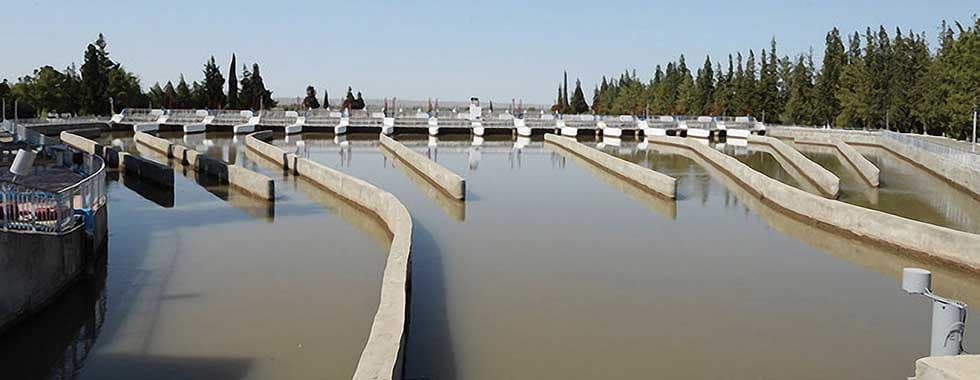 CONSTRUCTION OF EMBANKMENT IN IMISHLI DISTRICT — photo 4